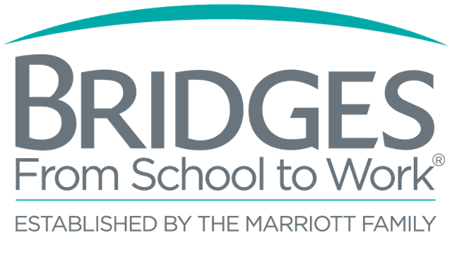 Bridges from School to Work